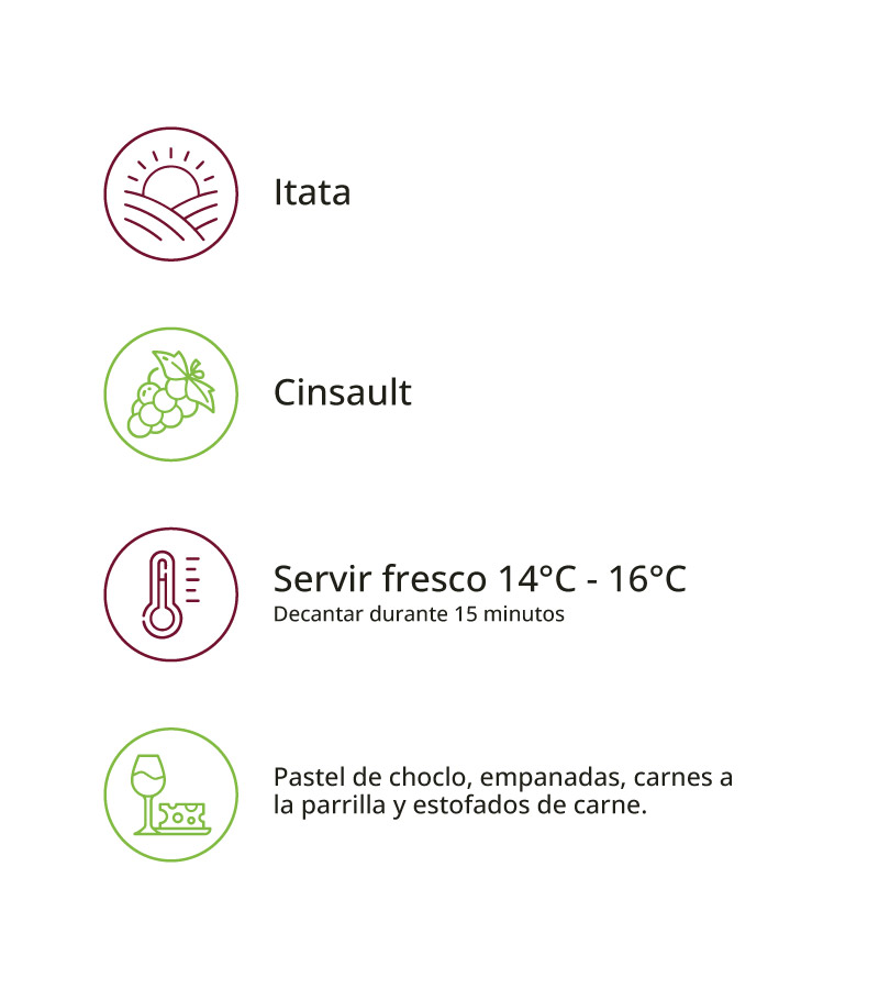 Masintín Cinsault - Imagen 2