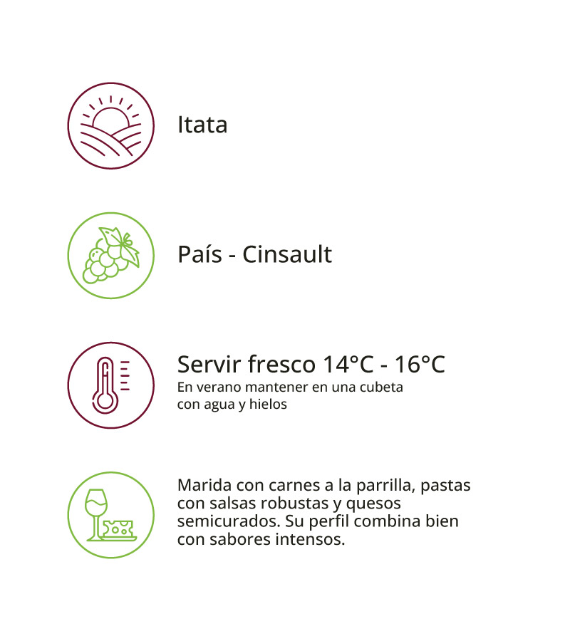 Vino prueba - Imagen 2