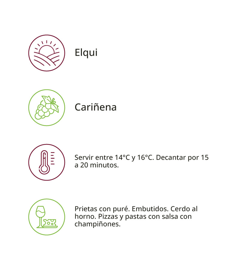 Pingo Pingo 2018 - Imagen 2