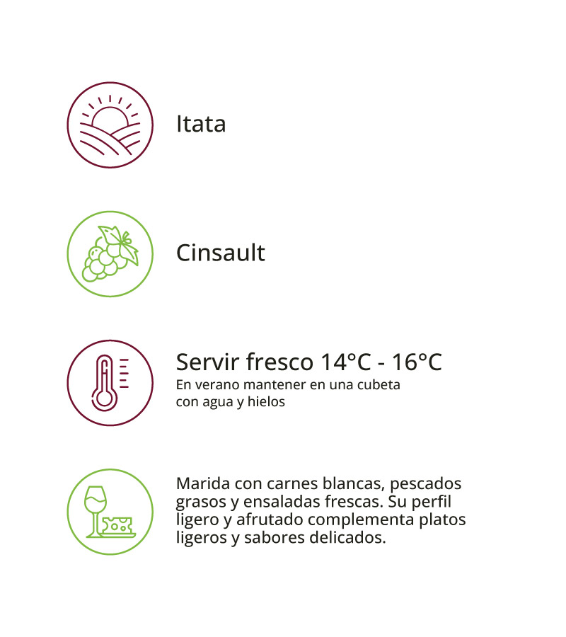 Vinos Copa Cinsault - Imagen 2