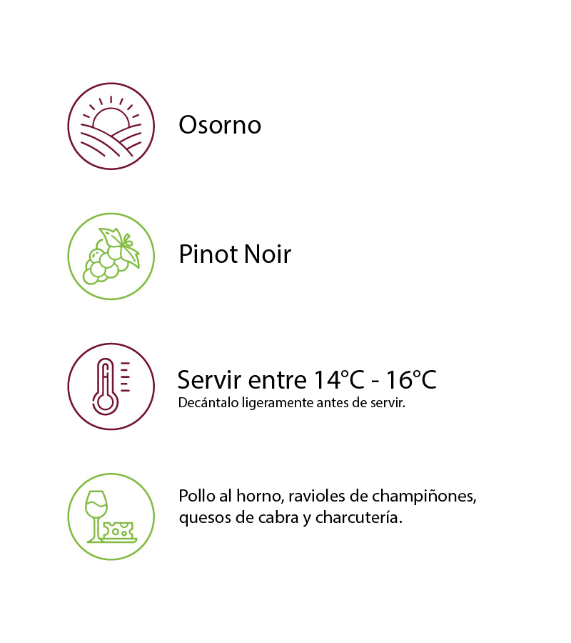 FUY Entre La Niebla 2022 - Imagen 2