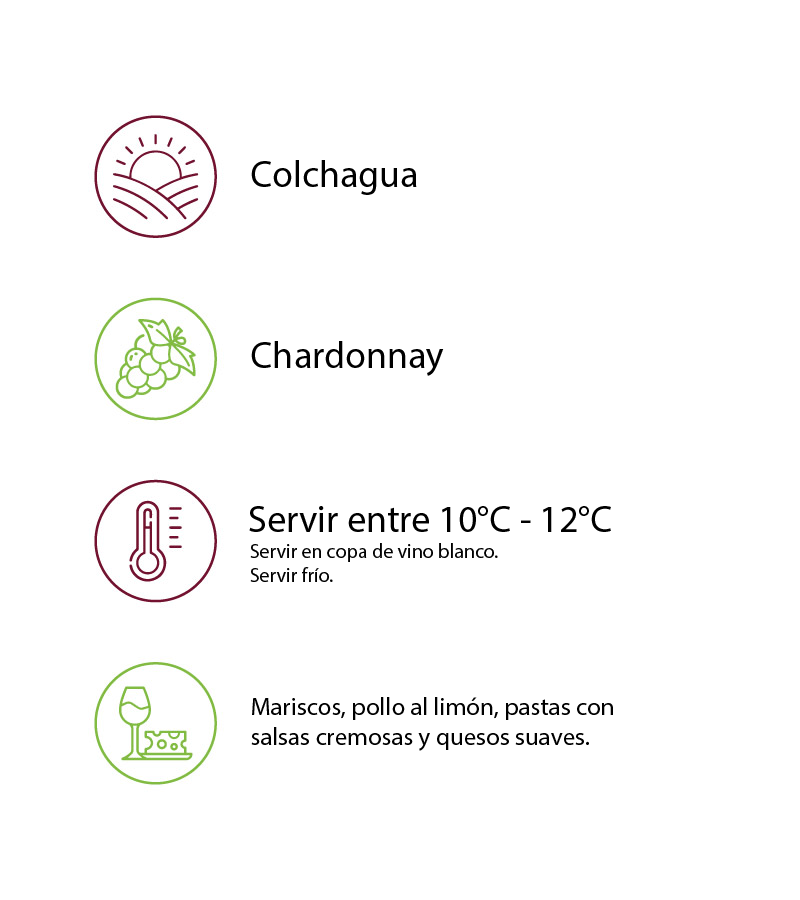 Sierras de Bellavista Chardonnay - Imagen 2