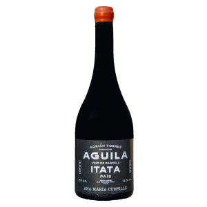 Águila - Valle De Itata